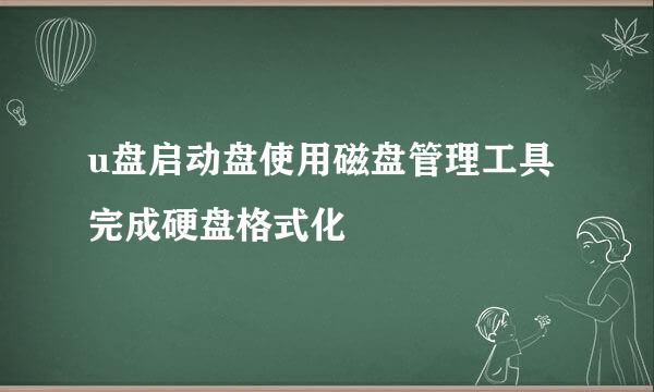 u盘启动盘使用磁盘管理工具完成硬盘格式化