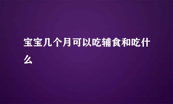 宝宝几个月可以吃辅食和吃什么