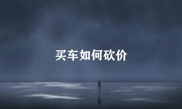 买车如何砍价