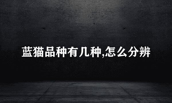 蓝猫品种有几种,怎么分辨