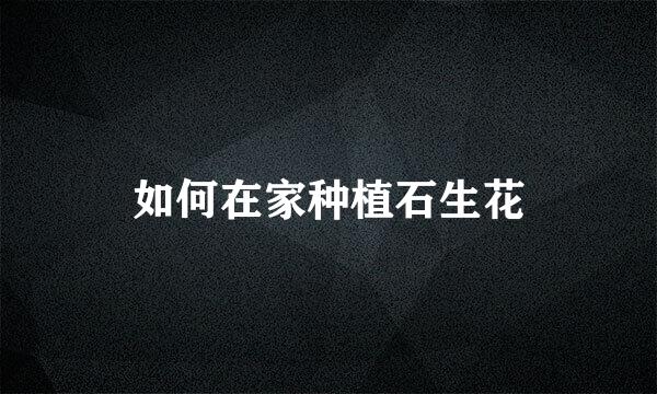 如何在家种植石生花