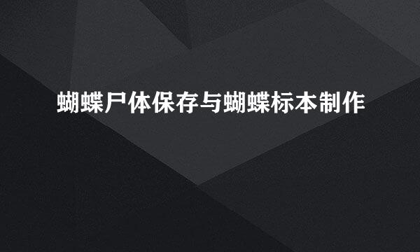 蝴蝶尸体保存与蝴蝶标本制作
