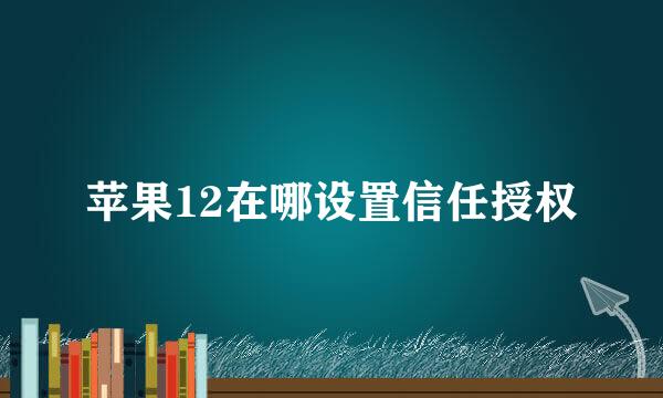 苹果12在哪设置信任授权