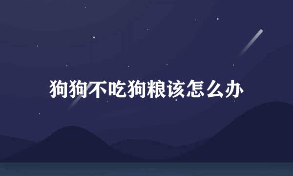 狗狗不吃狗粮该怎么办