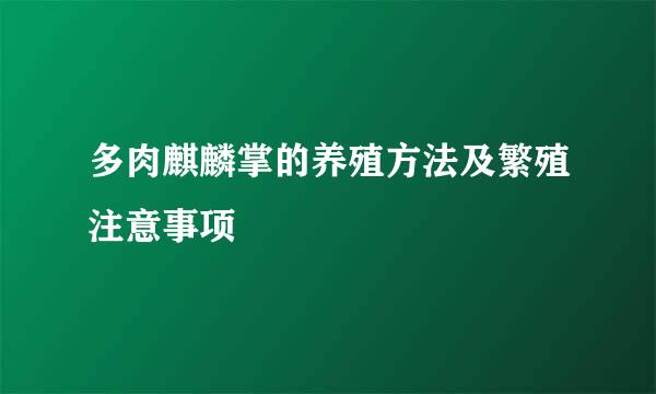 多肉麒麟掌的养殖方法及繁殖注意事项