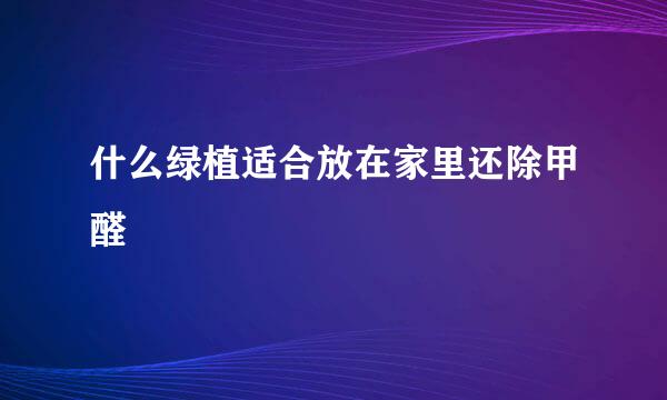 什么绿植适合放在家里还除甲醛