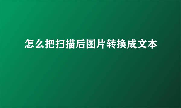 怎么把扫描后图片转换成文本