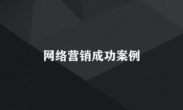 网络营销成功案例