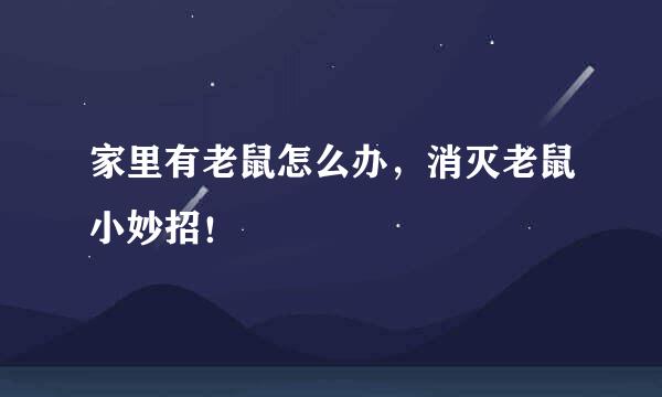 家里有老鼠怎么办，消灭老鼠小妙招！