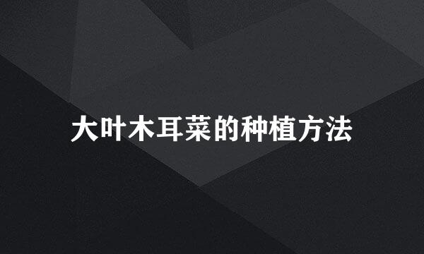大叶木耳菜的种植方法