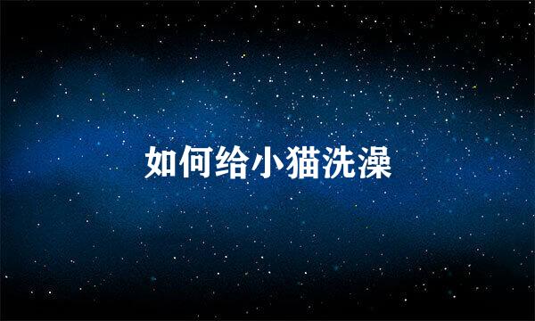 如何给小猫洗澡
