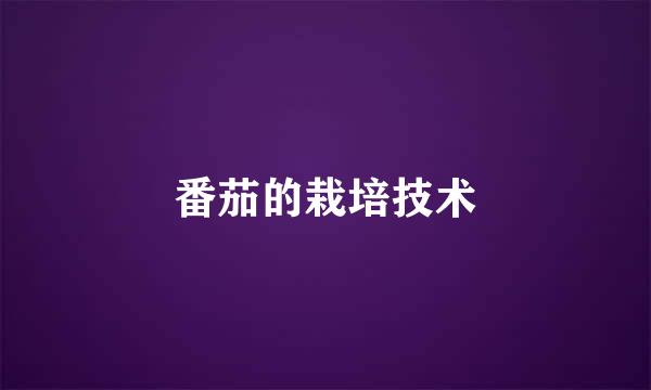 番茄的栽培技术