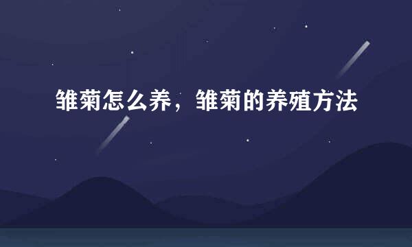 雏菊怎么养，雏菊的养殖方法