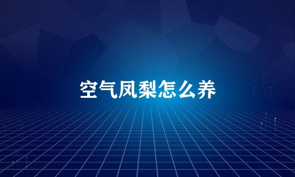 空气凤梨怎么养
