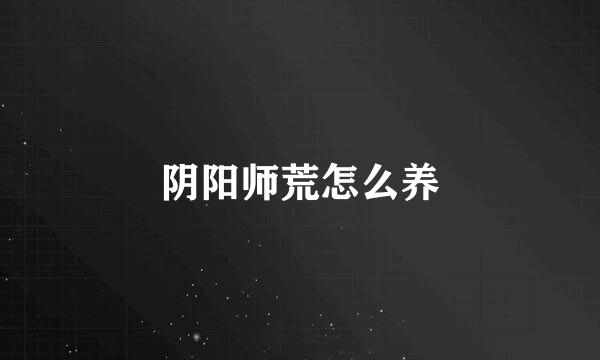 阴阳师荒怎么养