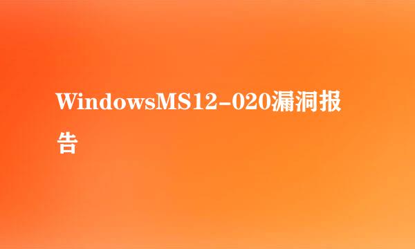 WindowsMS12-020漏洞报告