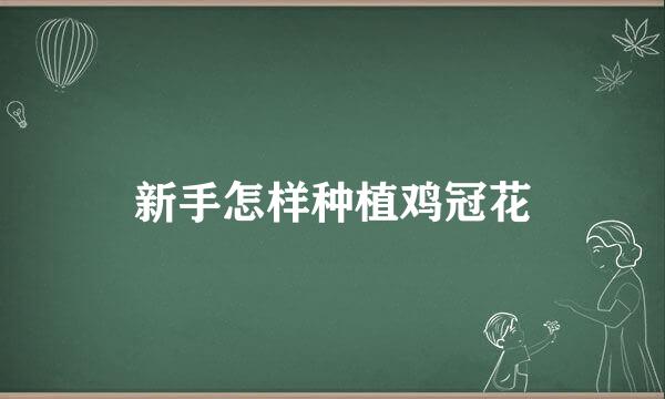 新手怎样种植鸡冠花