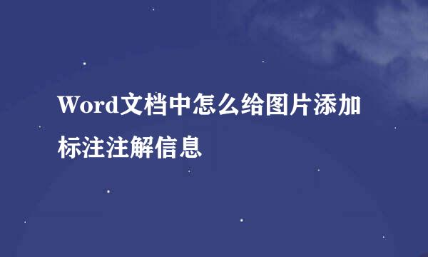 Word文档中怎么给图片添加标注注解信息