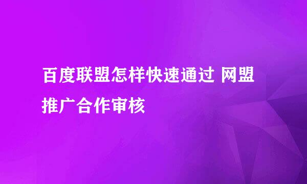 百度联盟怎样快速通过 网盟推广合作审核