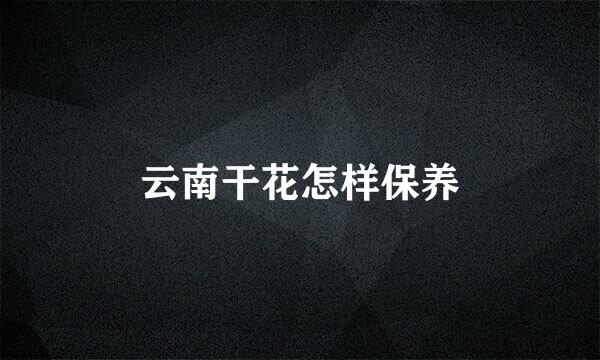 云南干花怎样保养