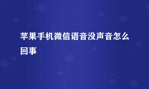 苹果手机微信语音没声音怎么回事