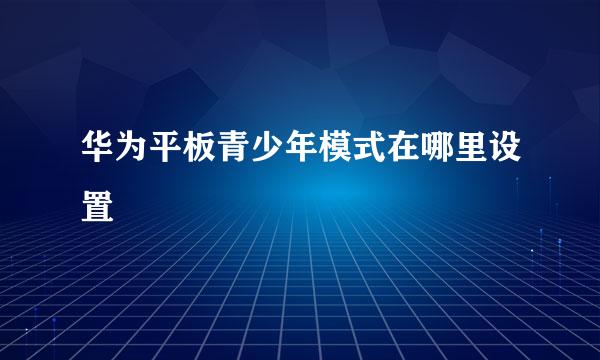 华为平板青少年模式在哪里设置