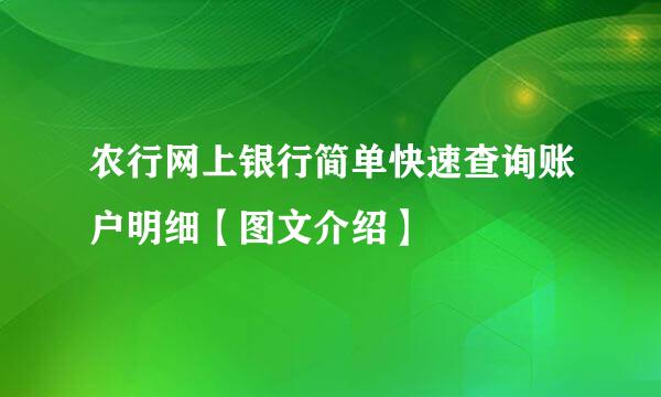 农行网上银行简单快速查询账户明细【图文介绍】