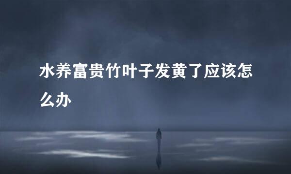 水养富贵竹叶子发黄了应该怎么办