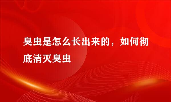臭虫是怎么长出来的，如何彻底消灭臭虫