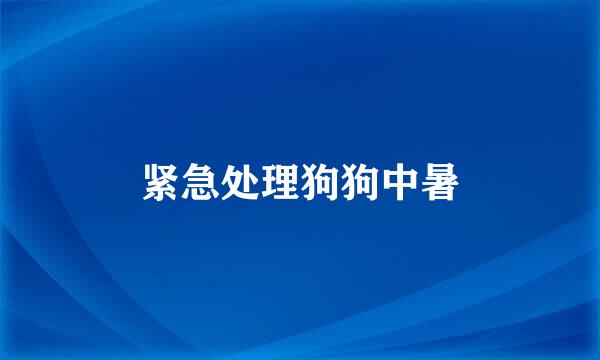 紧急处理狗狗中暑