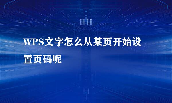 WPS文字怎么从某页开始设置页码呢