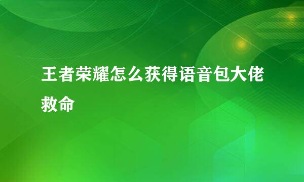 王者荣耀怎么获得语音包大佬救命
