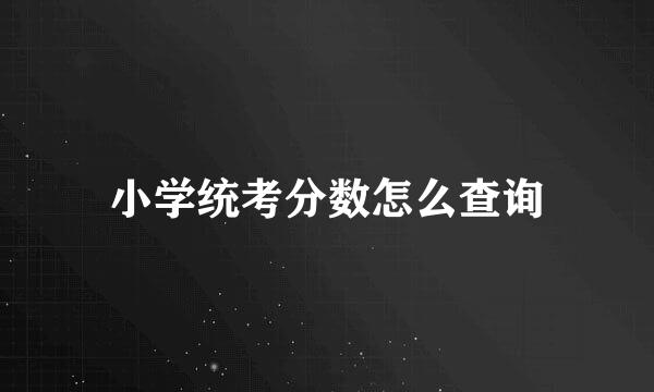 小学统考分数怎么查询