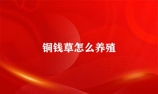 铜钱草怎么养殖