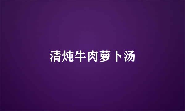 清炖牛肉萝卜汤