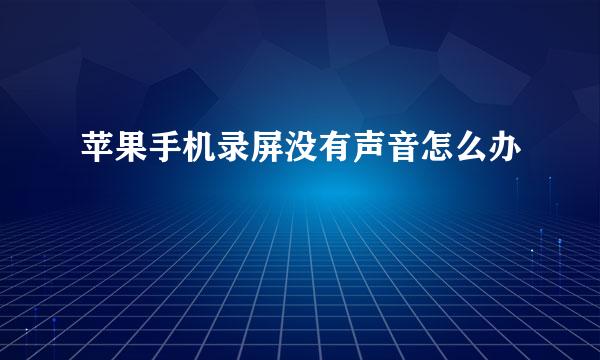 苹果手机录屏没有声音怎么办