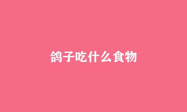鸽子吃什么食物