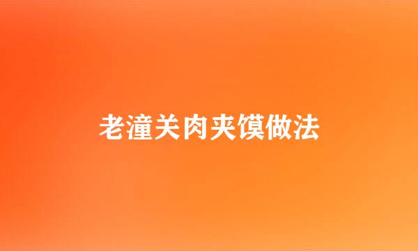 老潼关肉夹馍做法