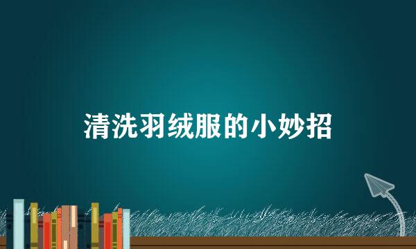 清洗羽绒服的小妙招