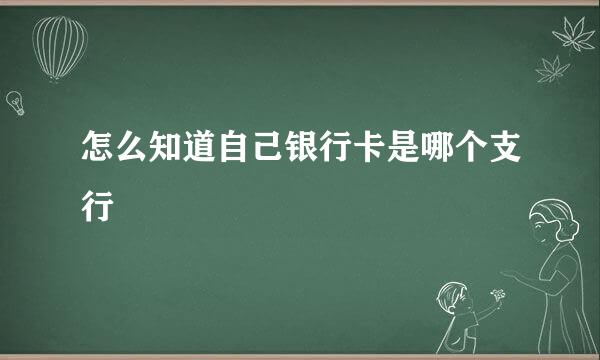 怎么知道自己银行卡是哪个支行