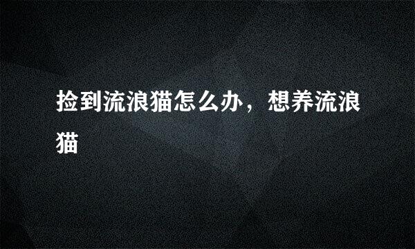 捡到流浪猫怎么办，想养流浪猫