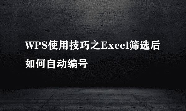 WPS使用技巧之Excel筛选后如何自动编号