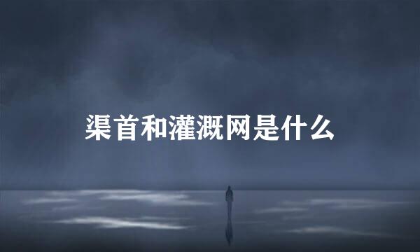 渠首和灌溉网是什么