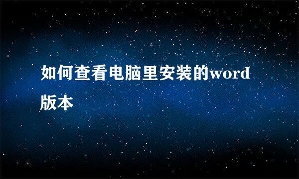 如何查看电脑里安装的word版本