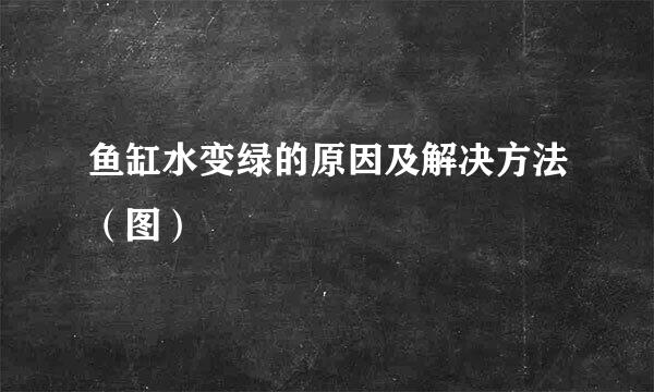 鱼缸水变绿的原因及解决方法（图）