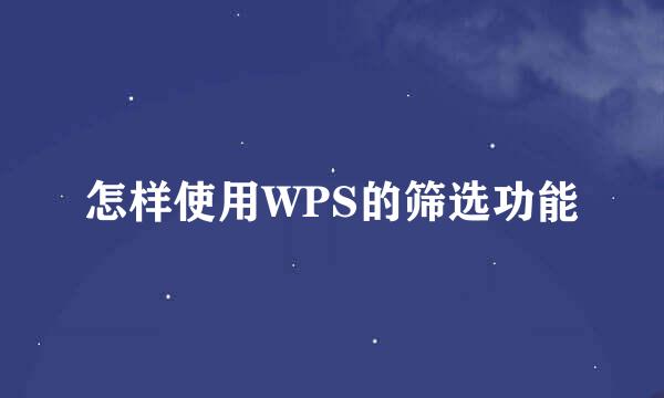 怎样使用WPS的筛选功能