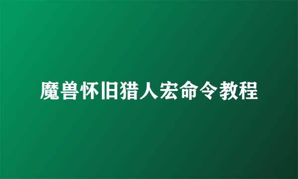 魔兽怀旧猎人宏命令教程