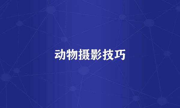 动物摄影技巧