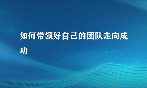 如何带领好自己的团队走向成功