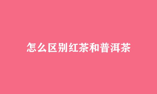 怎么区别红茶和普洱茶